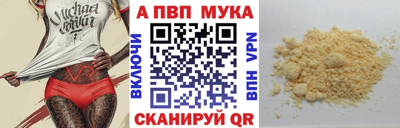 Альфа ПВП СК КРИС  Сочи 