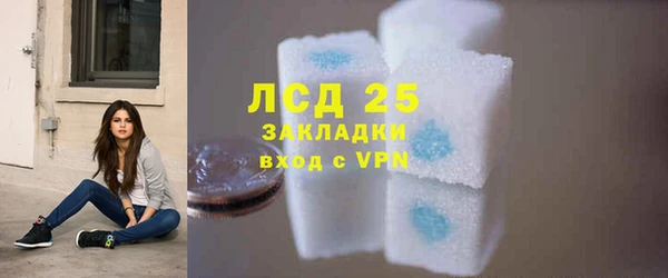 крисы Алзамай