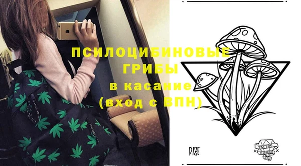 крисы Алзамай
