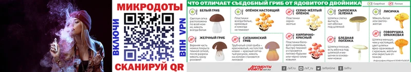 ссылка на мегу ТОР  Сочи  Псилоцибиновые грибы мухоморы 